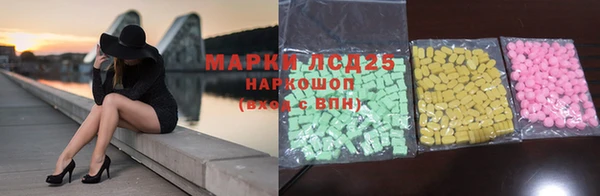 ПСИЛОЦИБИНОВЫЕ ГРИБЫ Балахна