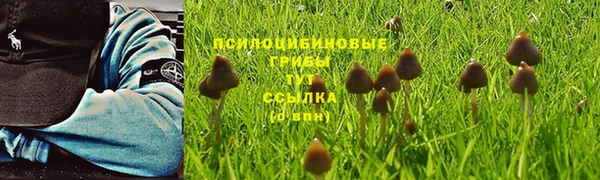 мет Баксан