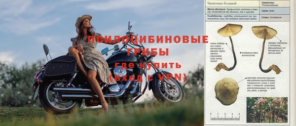 прущие грибы Армянск